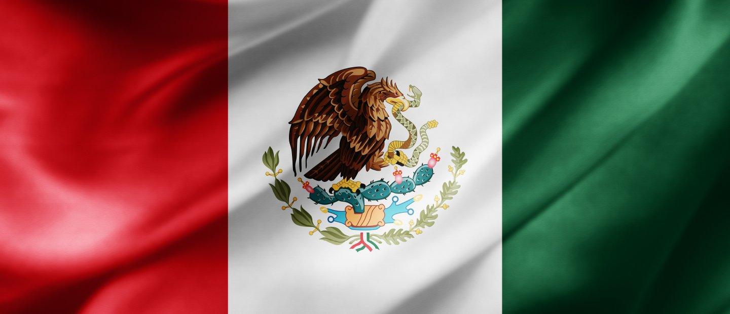 墨西哥国旗, 一只叼着蛇的鹰栖息在白色背景中间的仙人掌上, 绿色部分在左边, 右边的红色区域